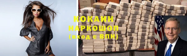 соль ск Алексин