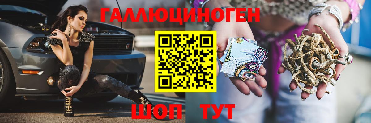 наркотики  Галлюциногенные грибы MAGIC MUSHROOMS  Вход с VPN  Новочеркасск 