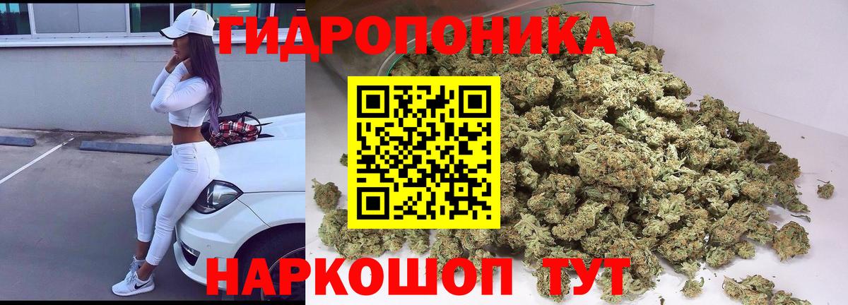 Конопля сатива Новочеркасск